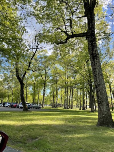 Saddle River County Park-Wild Duck Pond Area - Ridgewood, NJ