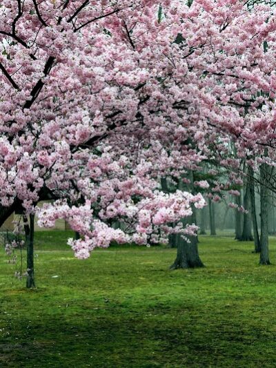 Saddle River County Park-Wild Duck Pond Area - Ridgewood, NJ