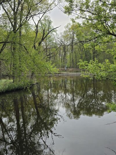Saddle River County Park-Wild Duck Pond Area - Ridgewood, NJ