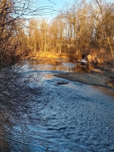 Saddle River County Park-Wild Duck Pond Area - Ridgewood, NJ