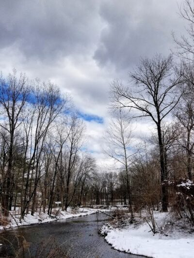 Saddle River County Park-Wild Duck Pond Area - Ridgewood, NJ