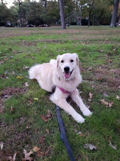 Leuning Park - Ridgewood, NJ