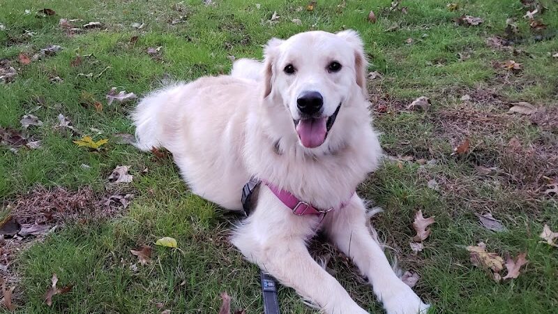 Leuning Park - Ridgewood, NJ