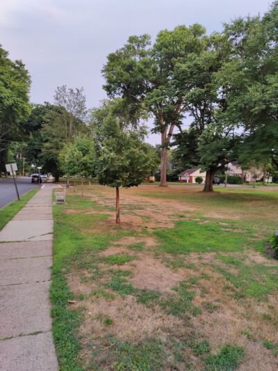 Leuning Park - Ridgewood, NJ