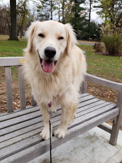 Leuning Park - Ridgewood, NJ