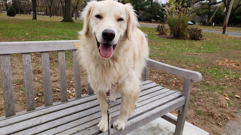 Leuning Park - Ridgewood, NJ