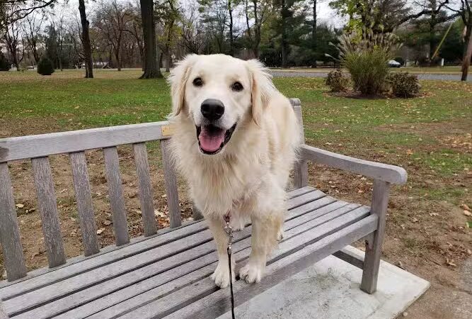Leuning Park - Ridgewood, NJ