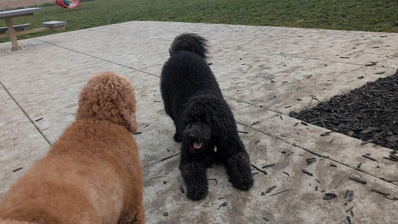 Dog park - Rio Vista, CA