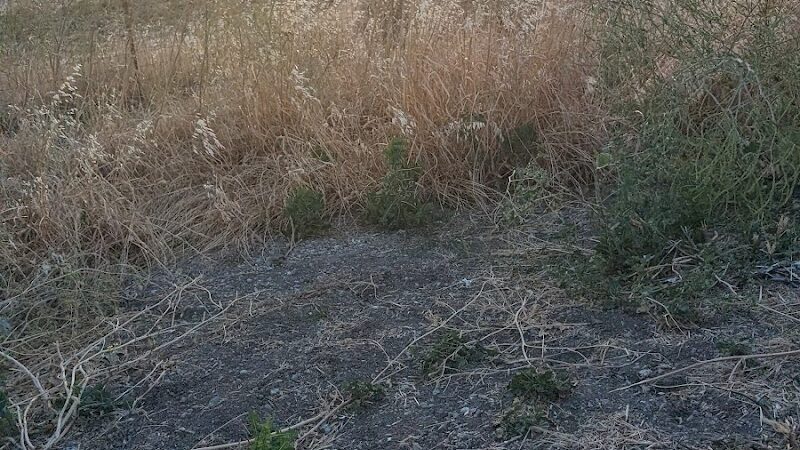 Dog park - Rio Vista, CA