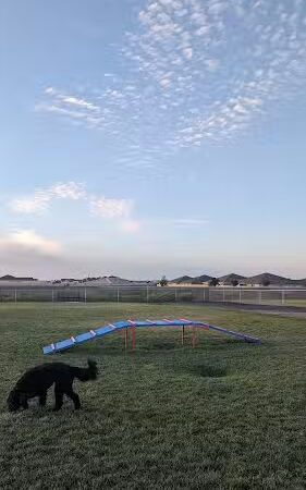 Dog park - Rio Vista, CA