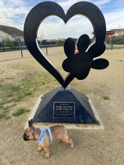 Trilogy at Rio Vista Dog Park - Rio Vista, CA