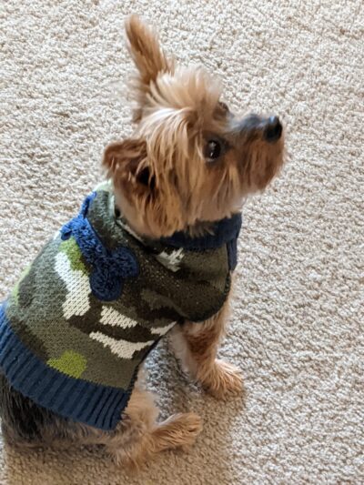 Trilogy at Rio Vista Dog Park - Rio Vista, CA