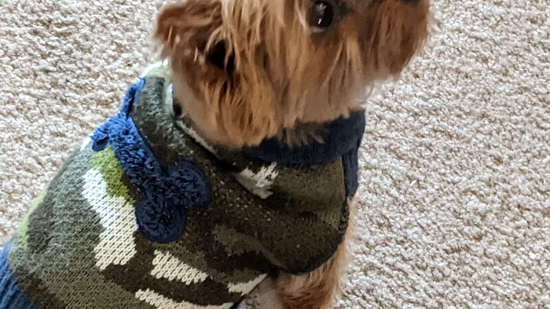 Trilogy at Rio Vista Dog Park - Rio Vista, CA