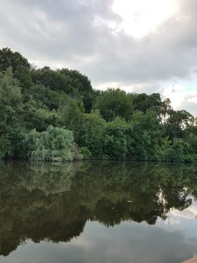 Walden Duck Pond - River Edge, NJ