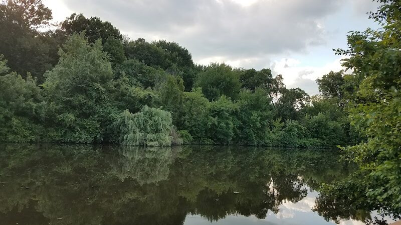 Walden Duck Pond - River Edge, NJ