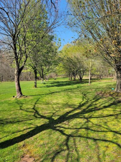 Walden Duck Pond - River Edge, NJ