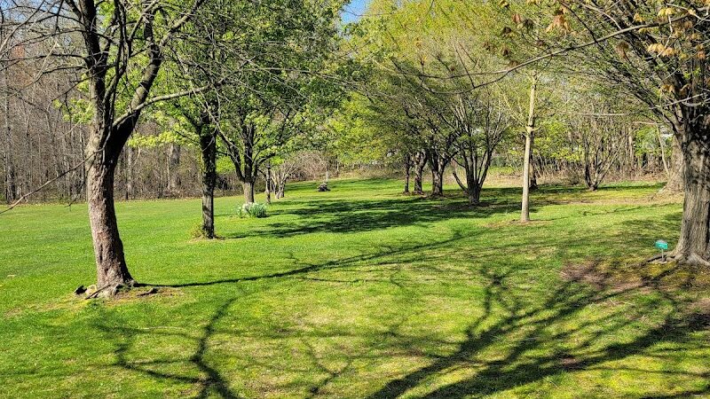 Walden Duck Pond - River Edge, NJ