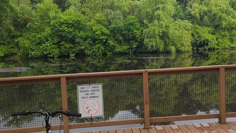 Walden Duck Pond - River Edge, NJ