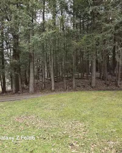 Walden Duck Pond - River Edge, NJ