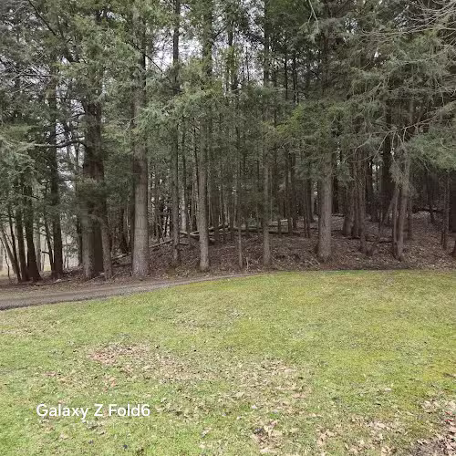 Walden Duck Pond - River Edge, NJ