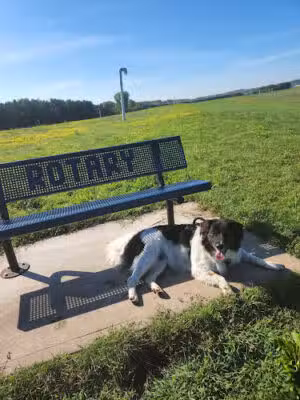 River Falls Dog Park - River Falls, WI