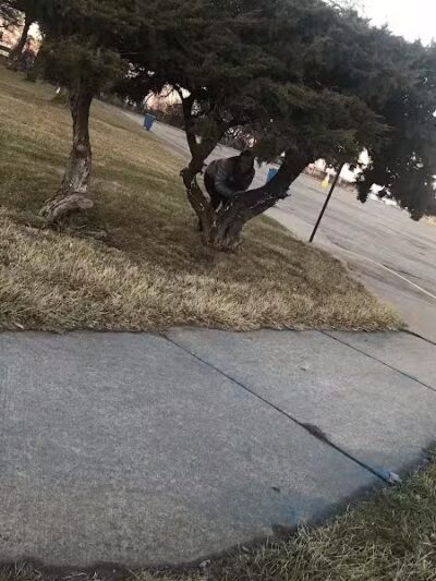 Belanger Park - River Rouge,