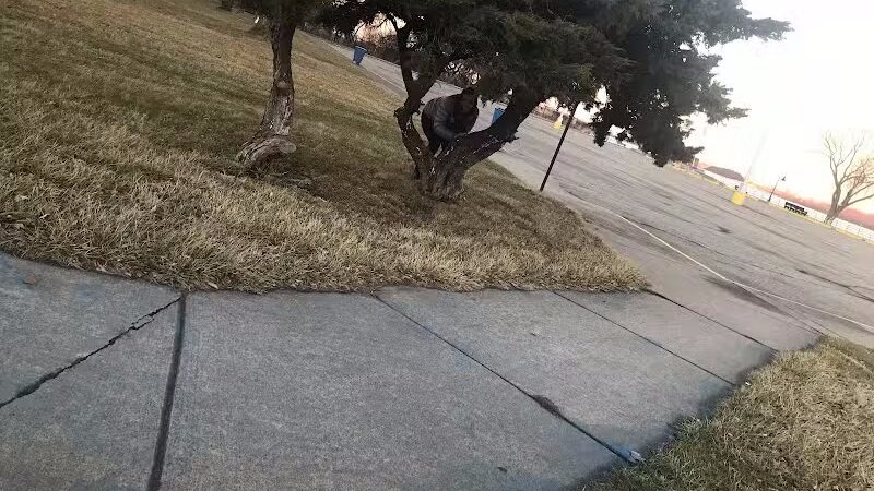 Belanger Park - River Rouge,