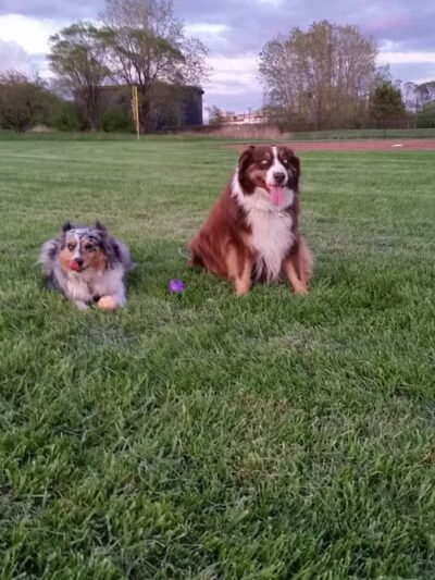John Jakubowski Park - River Rouge,