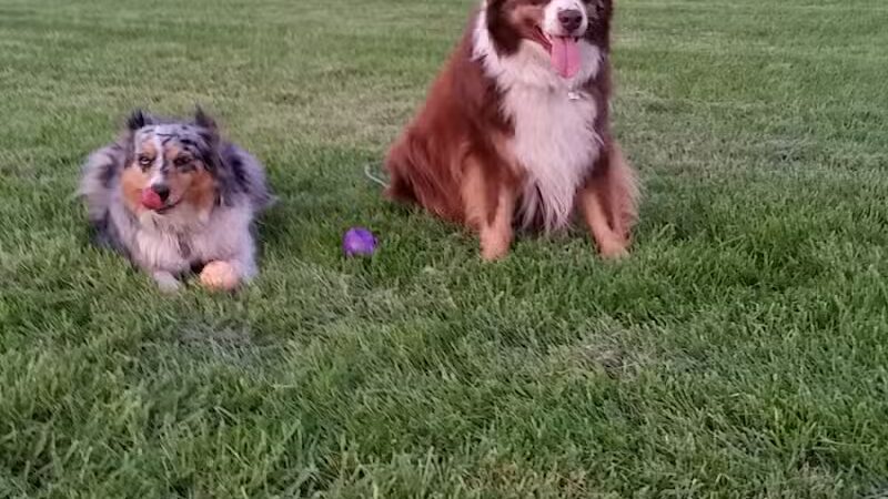 John Jakubowski Park - River Rouge,