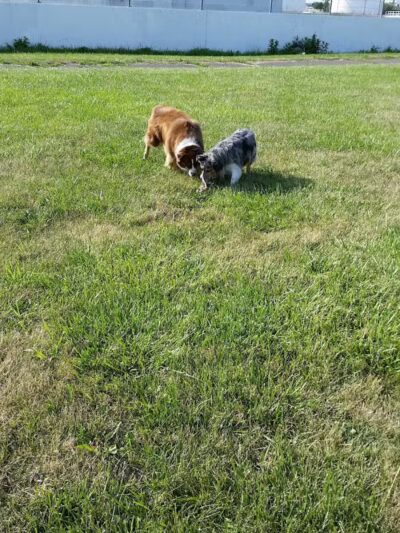 John Jakubowski Park - River Rouge,