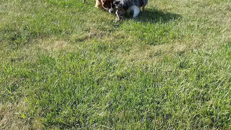 John Jakubowski Park - River Rouge,