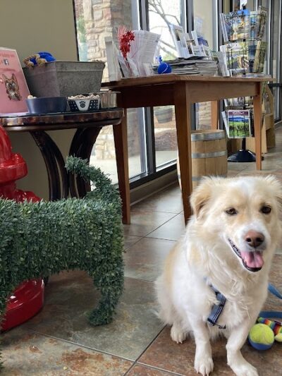 Halifax County Visitor Center Dog Run - Roanoke Rapids, NC