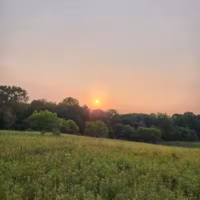 Bear Creek Nature Park - Rochester, MI