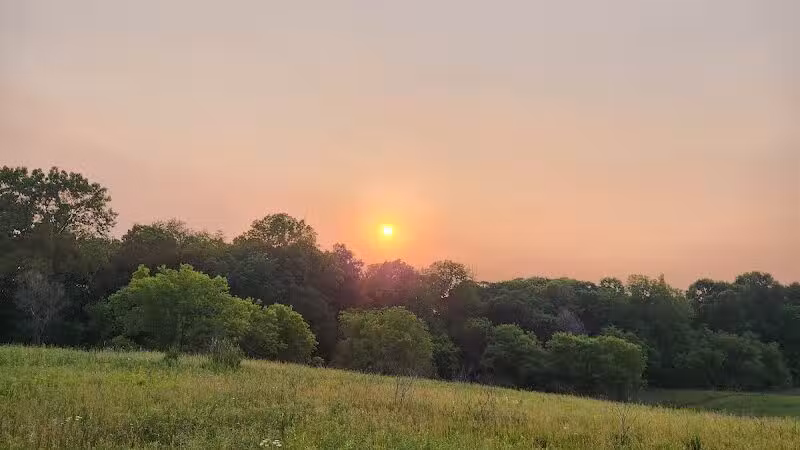 Bear Creek Nature Park - Rochester, MI