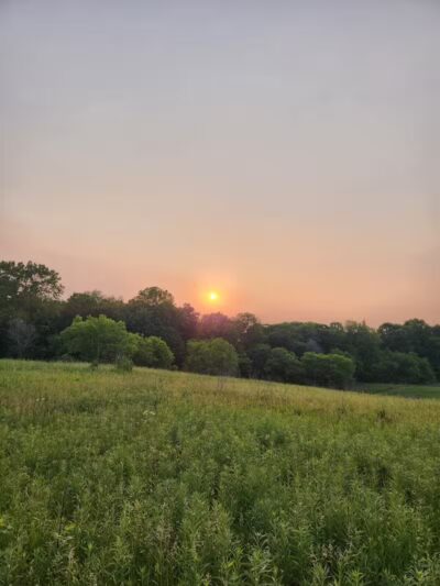 Bear Creek Nature Park - Rochester, MI