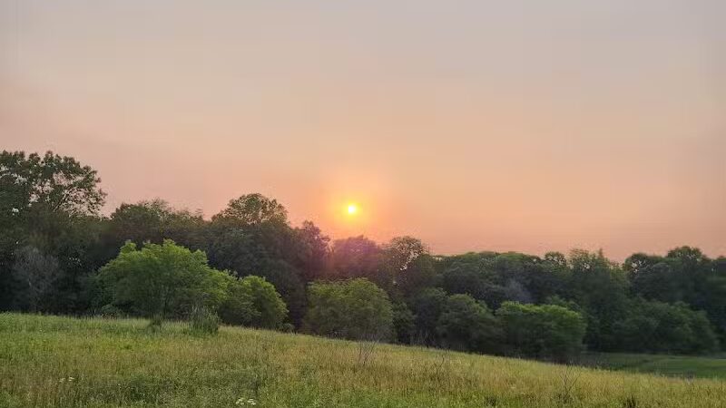 Bear Creek Nature Park - Rochester, MI