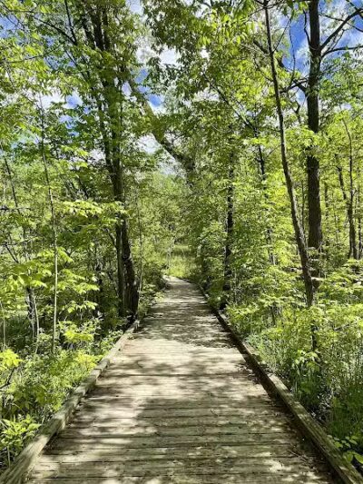 Bear Creek Nature Park - Rochester, MI