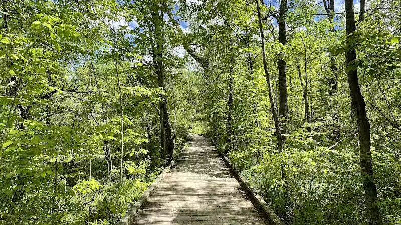 Bear Creek Nature Park - Rochester, MI