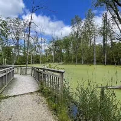 Bear Creek Nature Park - Rochester, MI