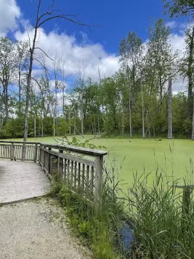 Bear Creek Nature Park - Rochester, MI