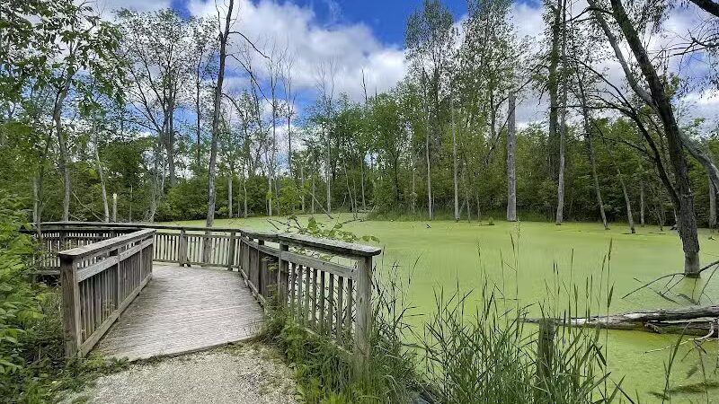Bear Creek Nature Park - Rochester, MI