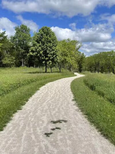 Bear Creek Nature Park - Rochester, MI
