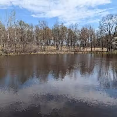 Bear Creek Nature Park - Rochester, MI