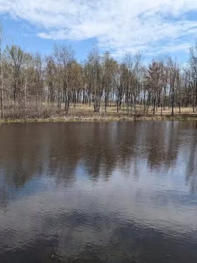 Bear Creek Nature Park - Rochester, MI