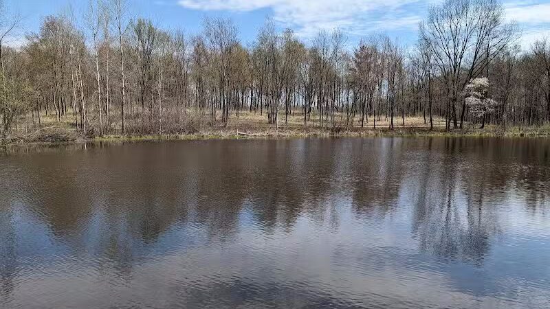 Bear Creek Nature Park - Rochester, MI