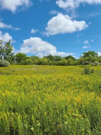 Bear Creek Nature Park - Rochester, MI
