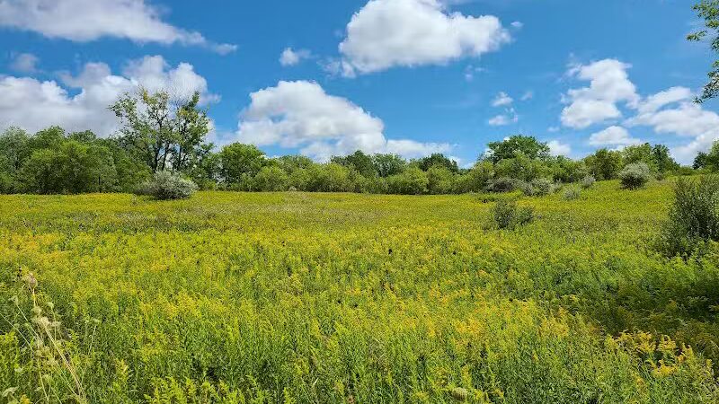 Bear Creek Nature Park - Rochester, MI