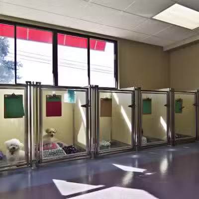 All American Pet Resorts Rochester Hills - Rochester Hills,