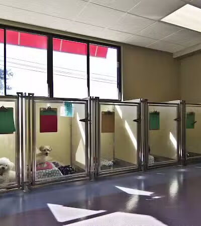 All American Pet Resorts Rochester Hills - Rochester Hills,