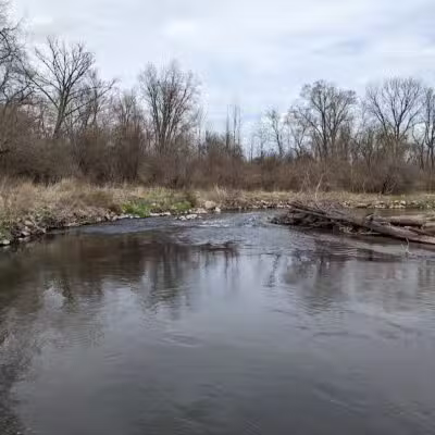 Avon Nature Area - Rochester Hills,